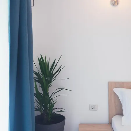 Thasos 3* Констанца